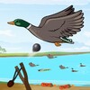 9.1短视全免费中文版
