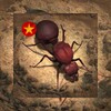 免费红火短剧